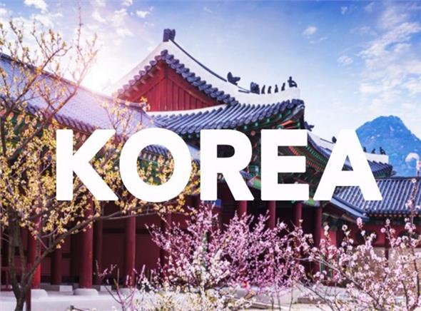 Ngắm Hoa Anh Đào Hàn Quốc 5 ngày bay Hàng không Air Seoul Ngắm Hoa Anh Đào Hàn Quốc 5 ngày bay Hàng không Air Seoul